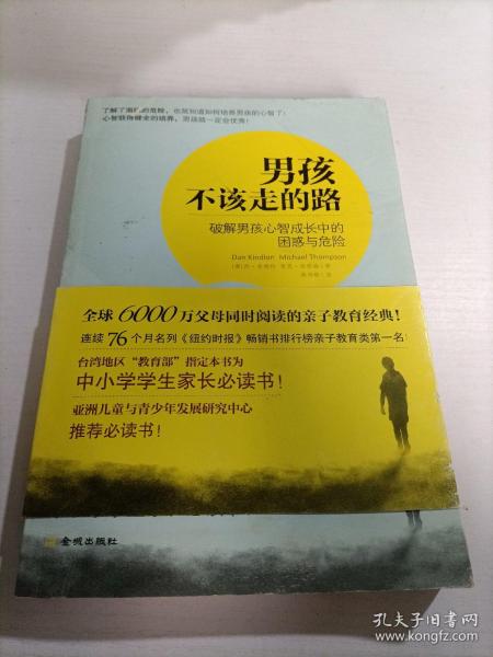 男孩不该走的路：破解男孩心智成长中的困惑与危险