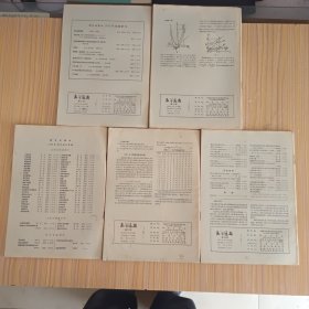 数学通讯(1965.10、11、12，1966.1、2，5本合售)