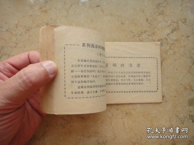 英荷海战