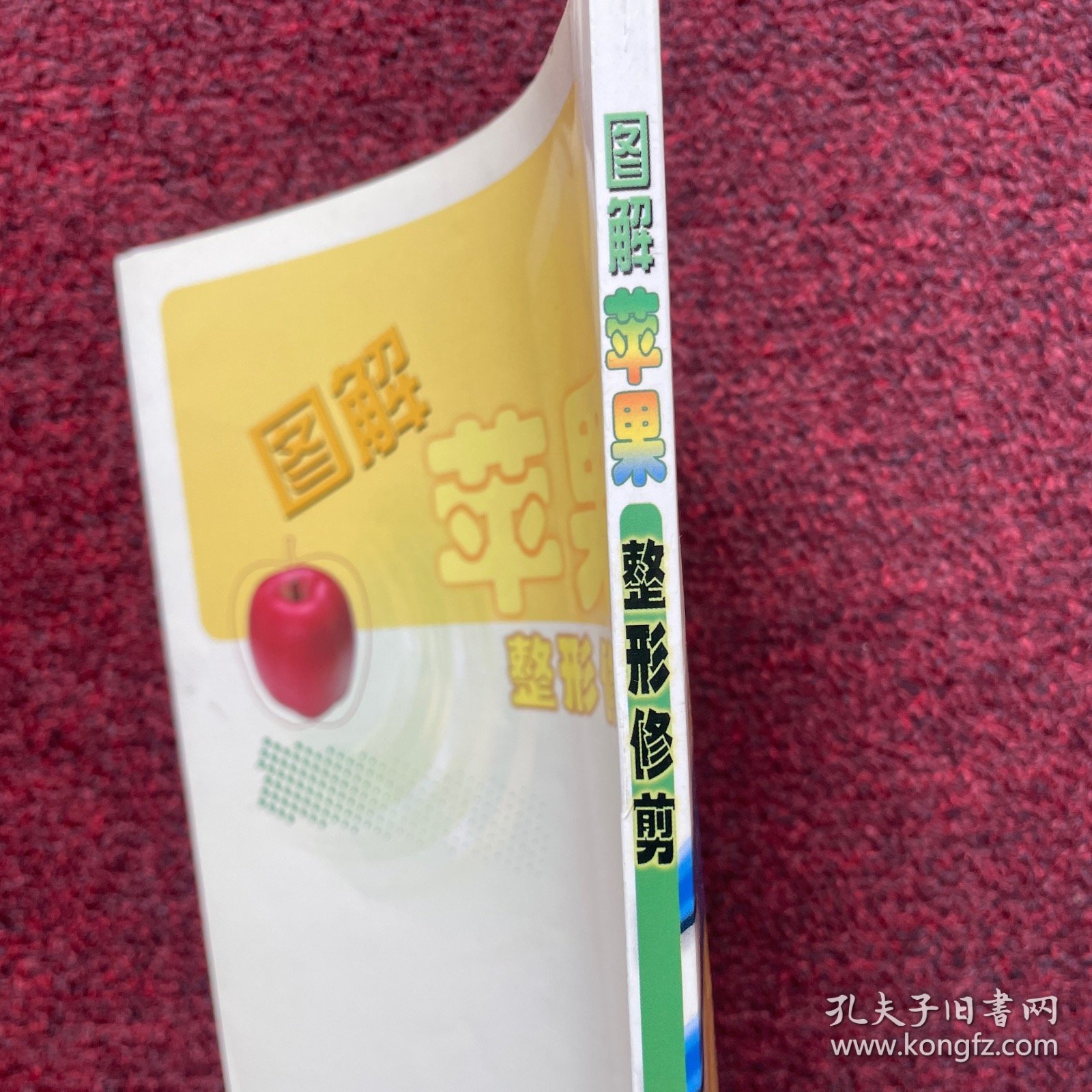 图解苹果整形修剪