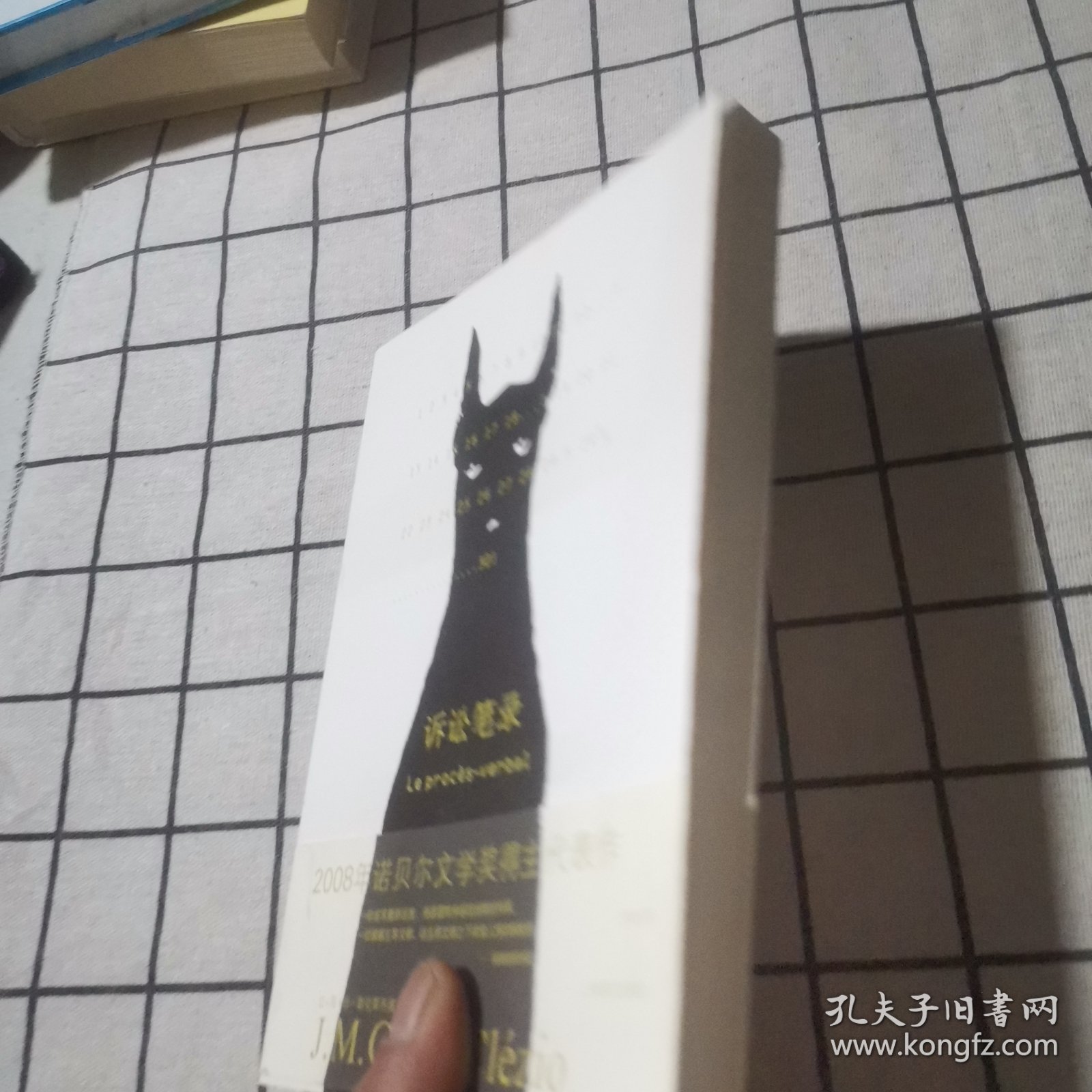 诉讼笔录