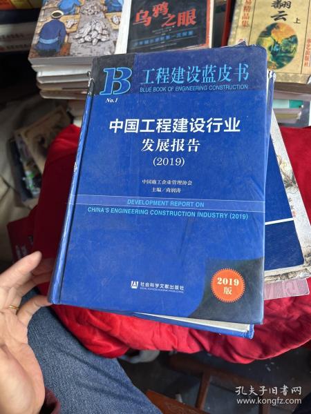 工程建设蓝皮书：中国工程建设行业发展报告（2019）