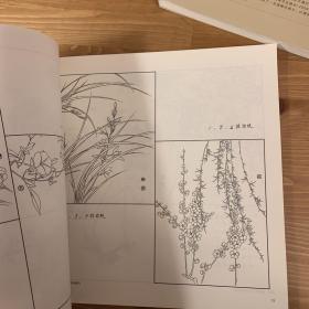 美术技法经典系列：花卉写生构图（上下两册全）