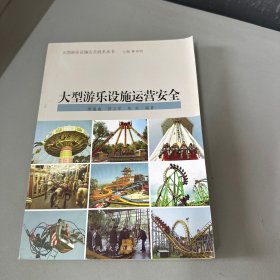 大型游乐设施安全技术丛书：大型游乐设施运营安全