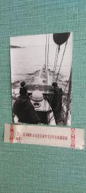 苏联北海舰队水兵 照片长19厘米宽15厘米 照片背面盖有中苏友好图片供应社章.