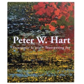 现货包邮 Peter W.Hart Transposer la joie.Transposing Joy 彼得·w·哈特 向日葵抽象油画作品集 艺术画册 精装大开本 英德双语
