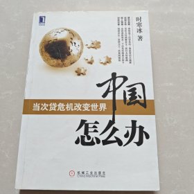 中国怎么办：当次货危机改变世界