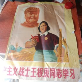 王根凤