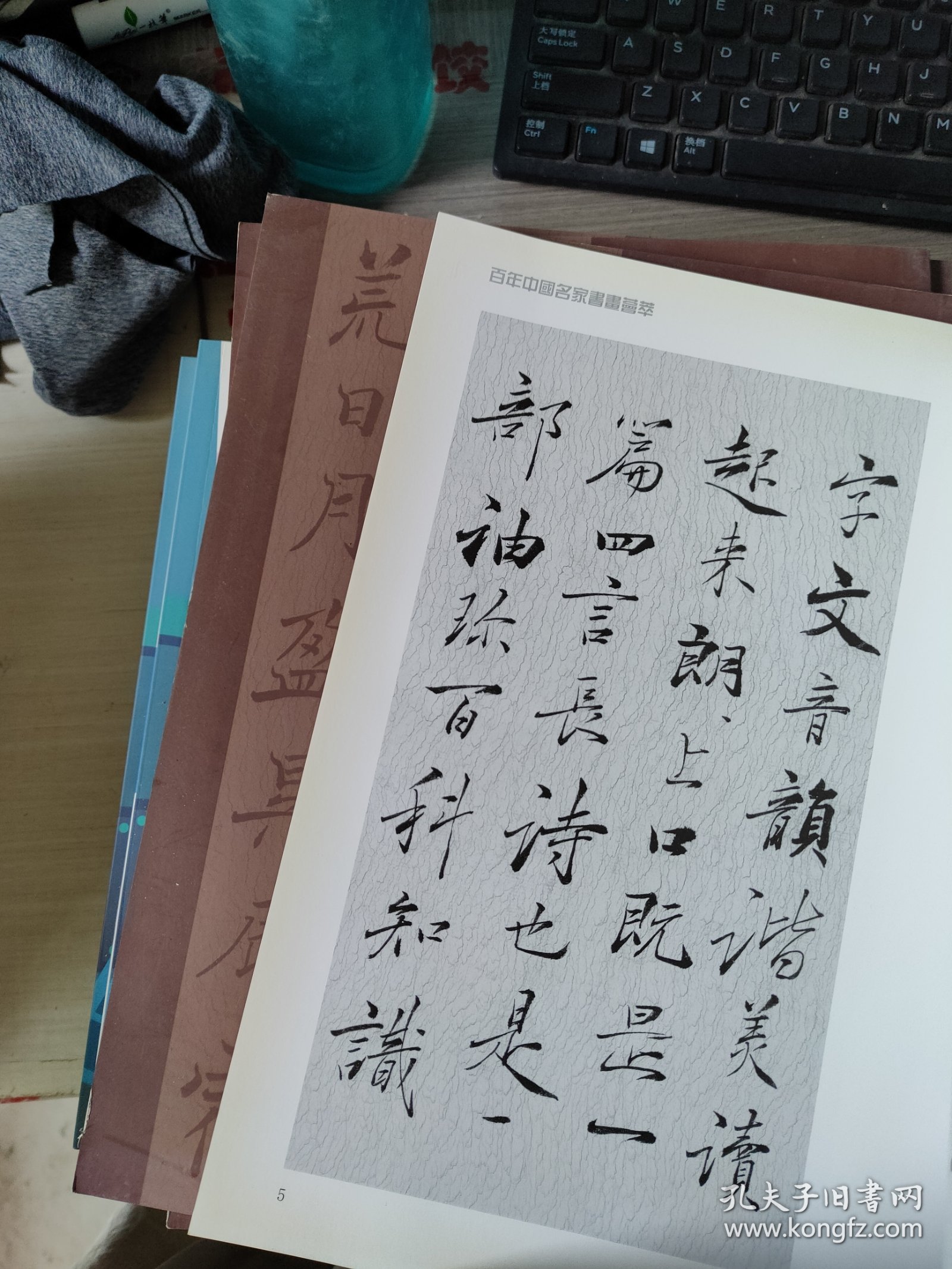 百年中国名家书画荟萃潘慧敏千字文全集