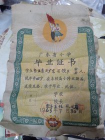 广东省小学毕业证书
