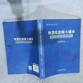 智慧化滨海大城市防灾安全管理研究