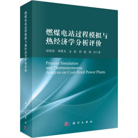 燃煤电站过程模拟与热经济学分析评价