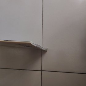 胆小的猫头鹰。（含光盘）