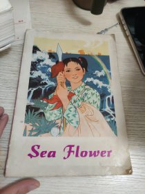 Sea FLower（海花）
