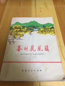 春到凤凰岭 二架二