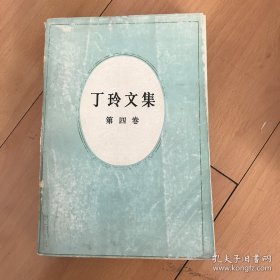 丁玲文集（第四卷）