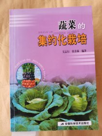 蔬菜的集約化栽培