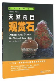 天然奇石：观赏石