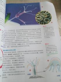 科学发现者   生物 生命的动力（下册）、地理 地质学、环境与宇宙（上册）