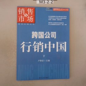 跨国公司行销中国