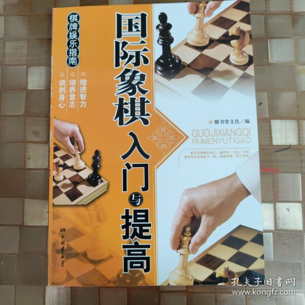 棋牌娱乐指南：国际象棋入门与提高