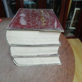 中国篆刻大字典（上中下）