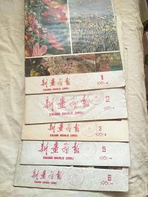 新疆画报1981年1、2、3、5、6期