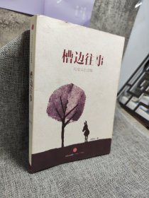 槽边往事：和菜头自选集