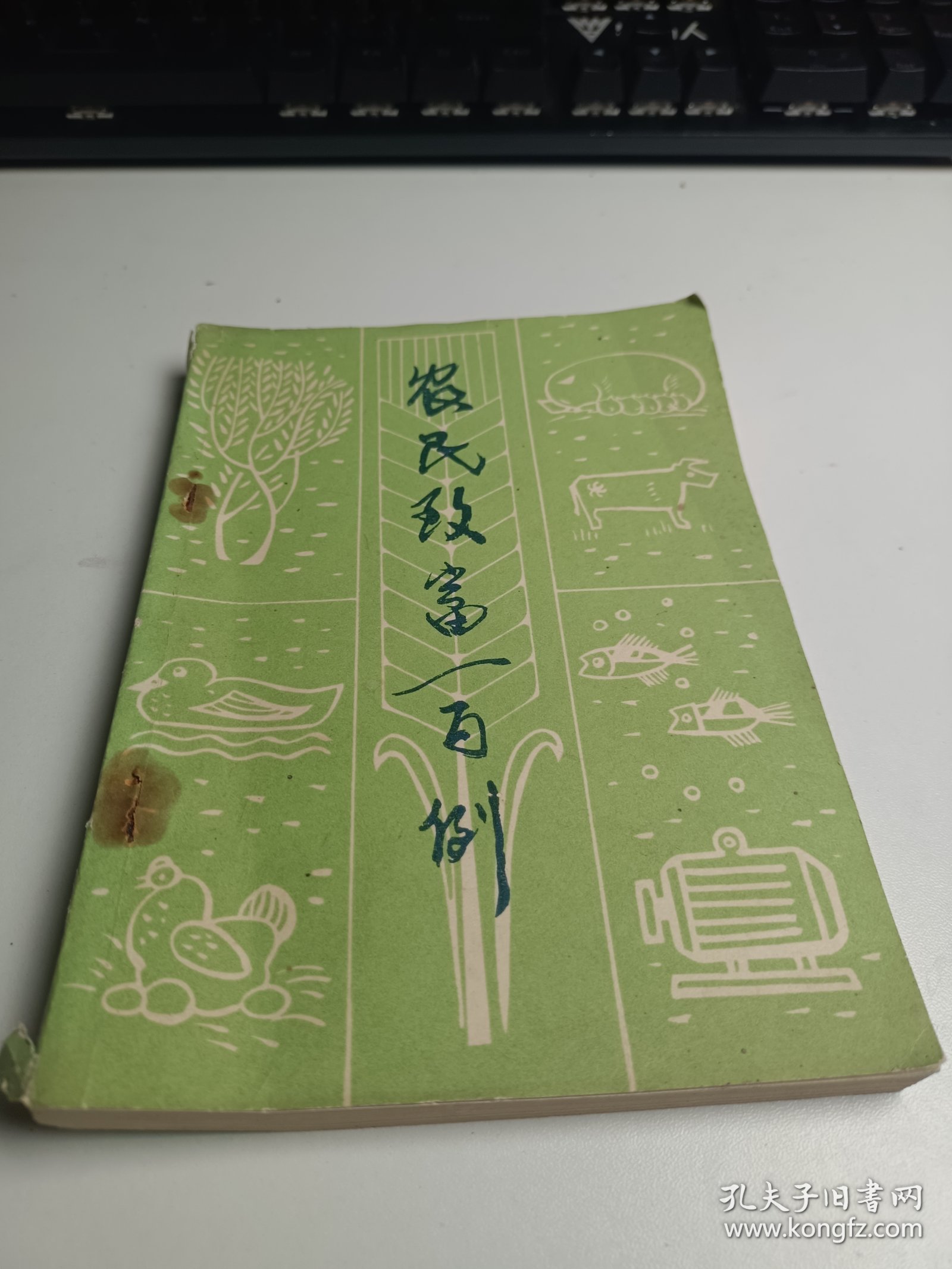 农民致富一百例