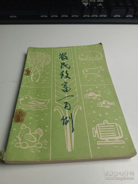 农民致富一百例