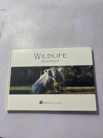 WILDLIFE SUSTRALIA