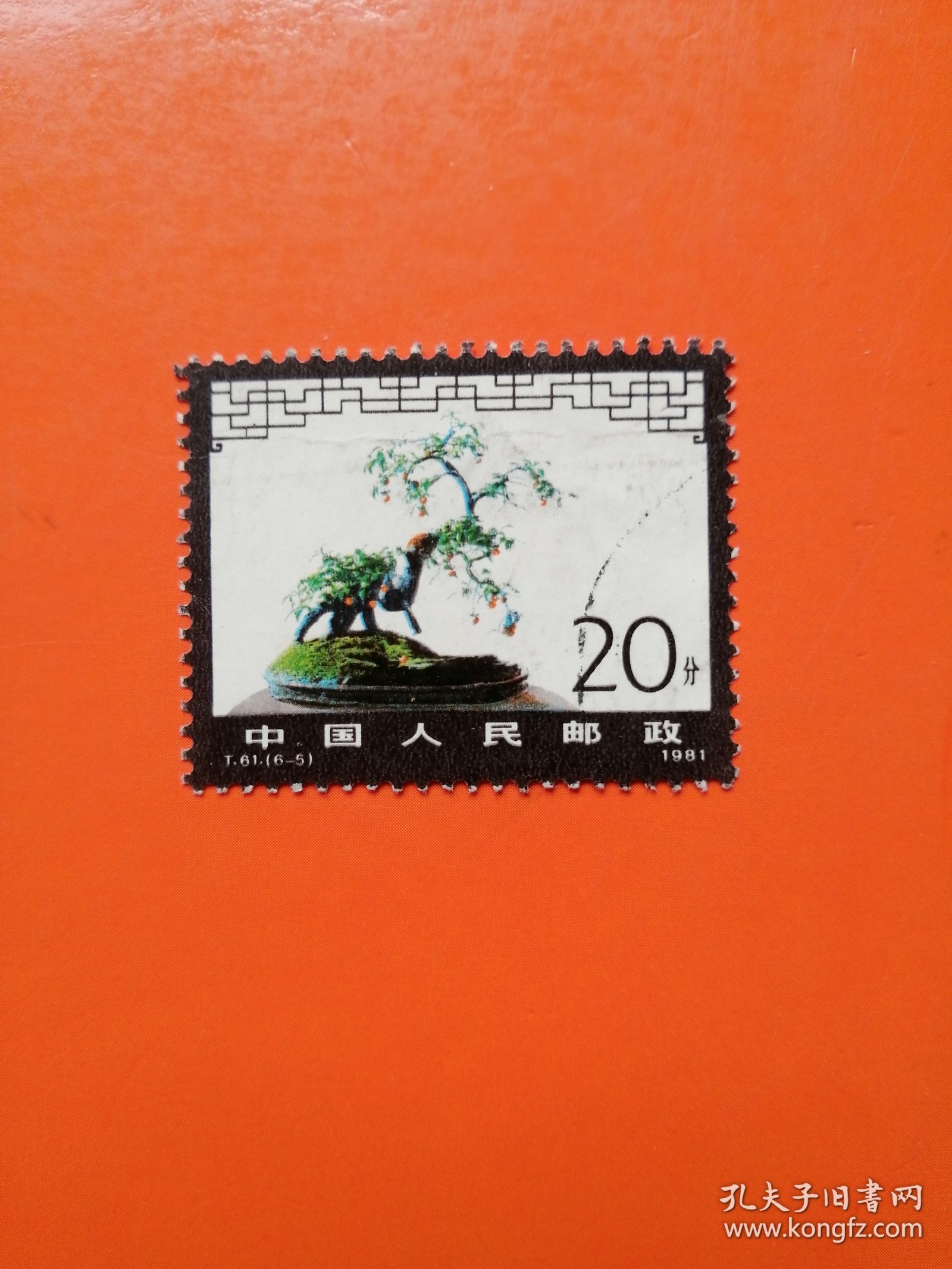 T61（6-5）盆景艺术 信销票