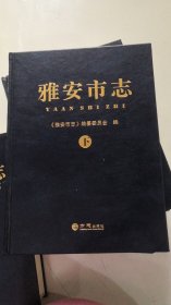 雅安市志上中下