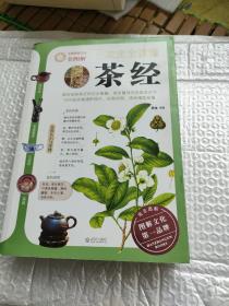 一次完全读懂茶经