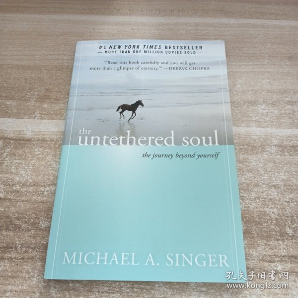 The Untethered Soul：The Journey Beyond Yourself