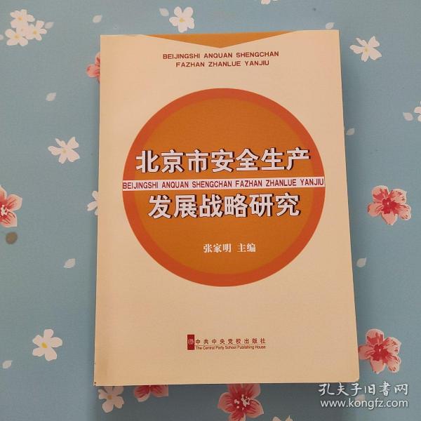 北京市安全生产发展战略研究