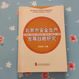 北京市安全生产发展战略研究
