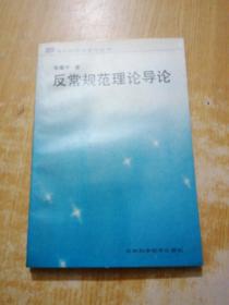 反常规范理论导论（青年科学家著作丛书）