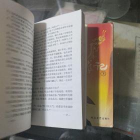 沉剑飞龙记  上下册