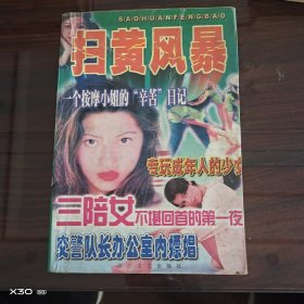 掃黃風(fēng)暴