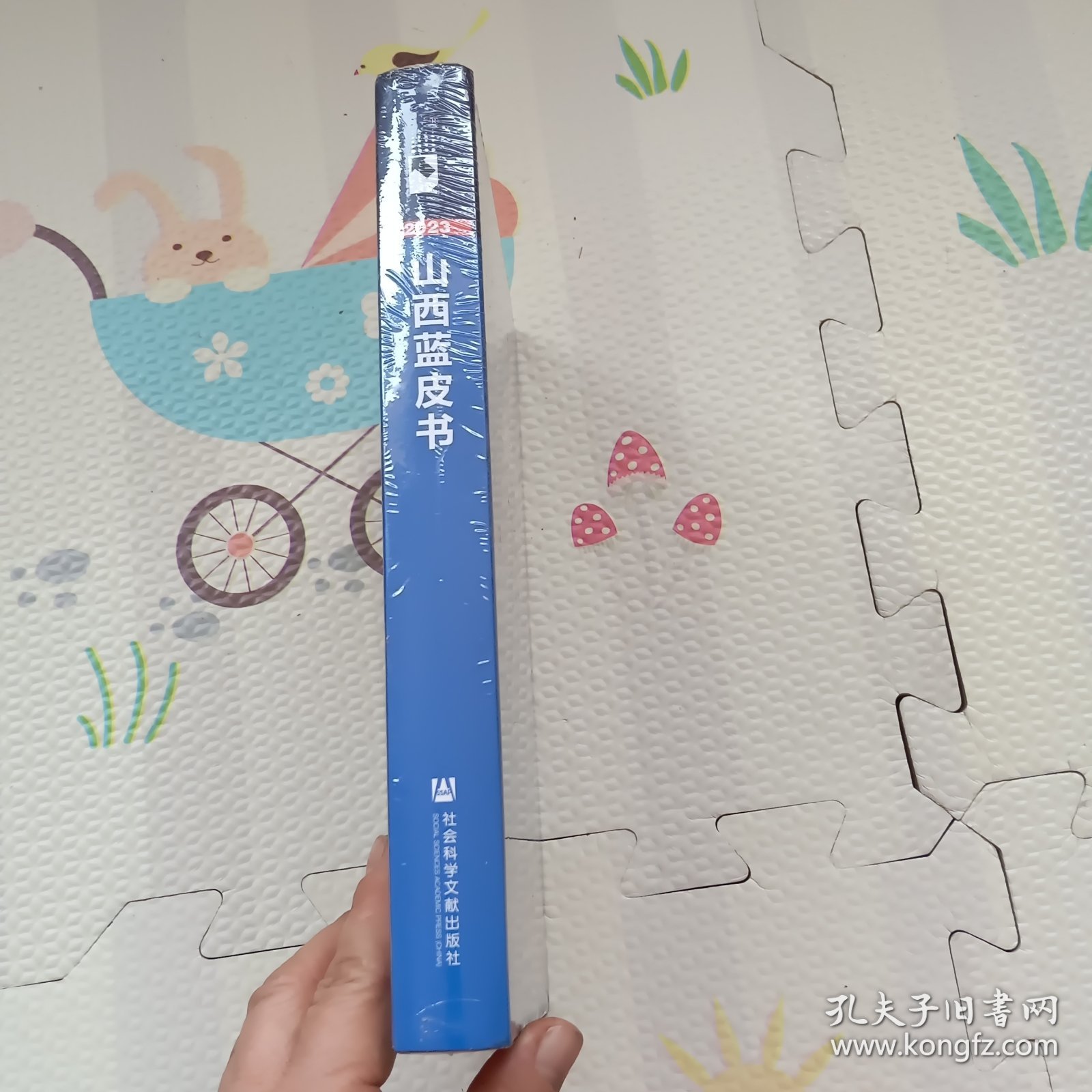 山西经济社会发展报告（2023）没开封