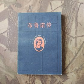 布鲁诺传