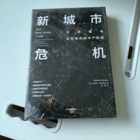 新城市危机