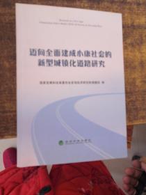 迈向全面建成小康社会的新型城镇化道路研究