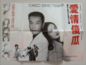 影片（爱情傻瓜）电影海报，主演：瞿颖、谢园、丁嘉丽、韩青、李文玲、邹赫威、方青卓