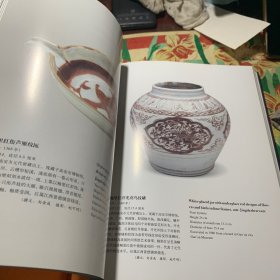 中国出土瓷器全集（第14册江西卷）