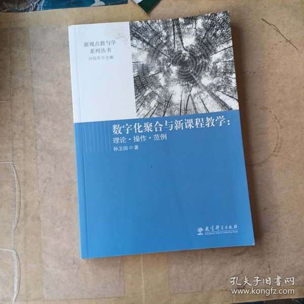 数字化聚合与新课程教学 : 理论·操作·范例