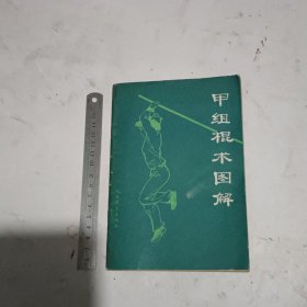 甲组棍术图解