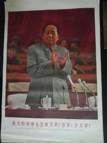 伟大领袖毛主席万岁!万岁!万万岁！（伟大领袖毛主席，在中国共产党第九次全国代表大会上做 极其重要的，鼓舞人心的讲话。）