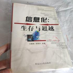 信息化：生存与超越